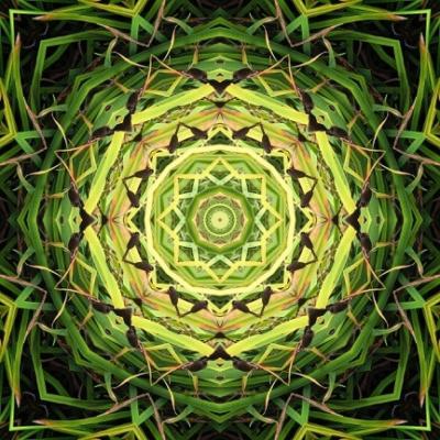 Mandala 2 md