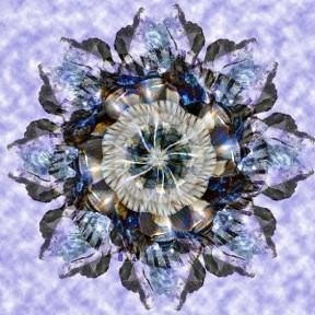 Blue star mandala sense of place march