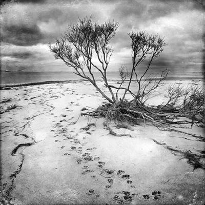 Barrier beach erosion 1 