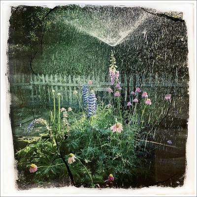 Garden spray