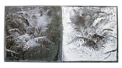 Doyle barbara ford homage to fox talbot